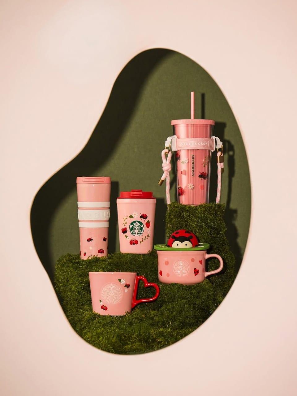 starbucks love bug collection